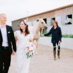 article blog maries devant haras