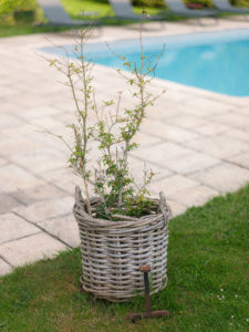 article shooting lilas - domaine de la tibaudiere