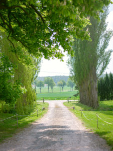 article shooting lilas- domaine de la thibaudière