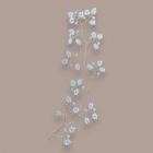 mini_vitrine 3-Photoroom