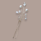 mini_vitrine 5-Photoroom