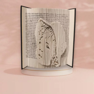 livre plie portrait de papier book folding ideal pour un cadeau personnalise