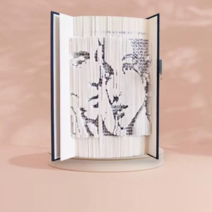livre plie les plis du temps