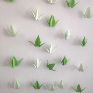 IMG_20220513_100121_1